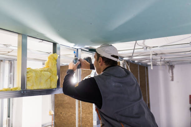 Types of Insulation We Offer in Spring Hill, FL