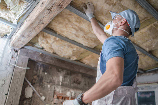 Best Attic Insulation Installation  in Spring Hill, FL