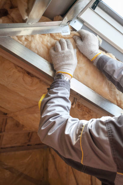 Best Spray Foam Insulation  in Spring Hill, FL