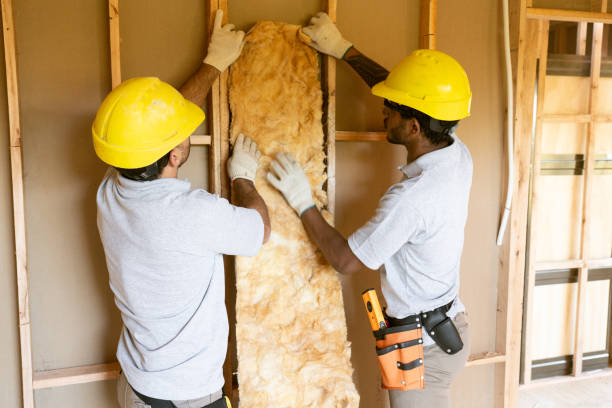 Best Blown-In Insulation  in Spring Hill, FL