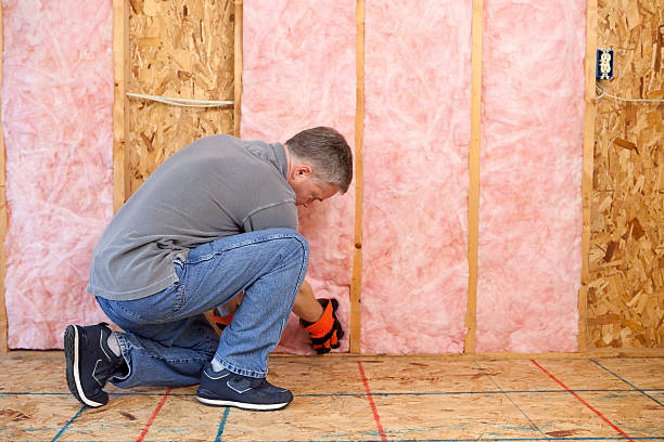 Best Wall Insulation Installation  in Spring Hill, FL